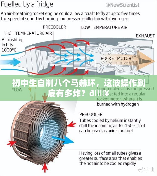 娱乐生活 第11页