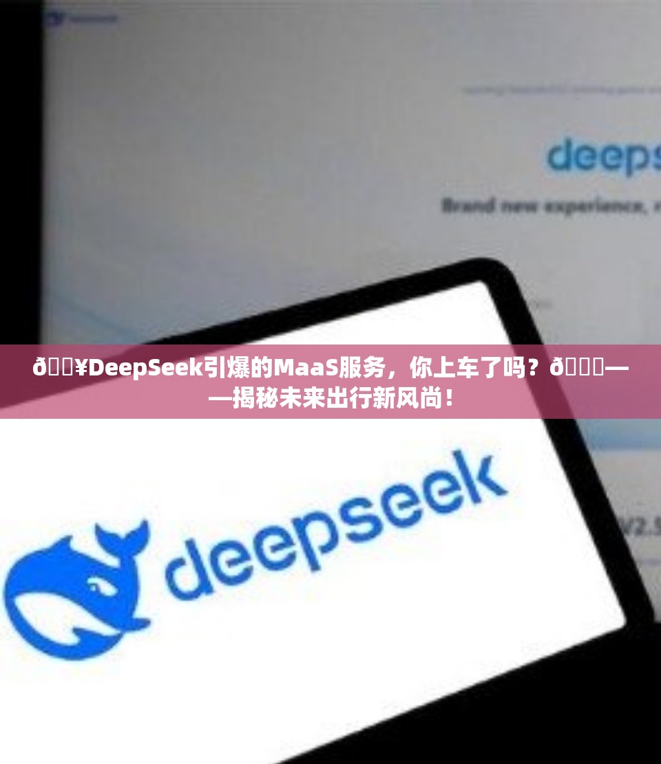 DeepSeek带火的MaaS服务是什么