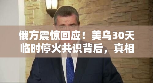 俄方震惊回应！美乌30天临时停火共识背后，真相竟如此扑朔迷离？