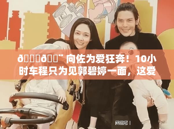 向佐开10个小时车去找郭碧婷