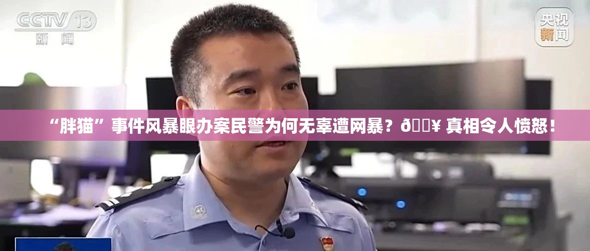 “胖猫”事件风暴眼办案民警为何无辜遭网暴？🔥 真相令人愤怒！