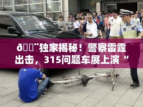 警察带走315问题车展上厂家碰瓷人员