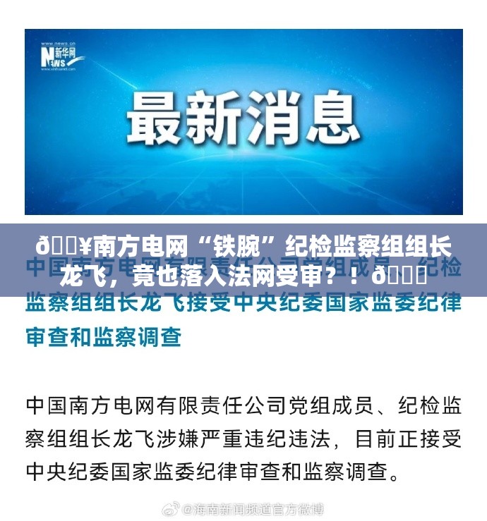 南方电网原纪检监察组组长龙飞受审