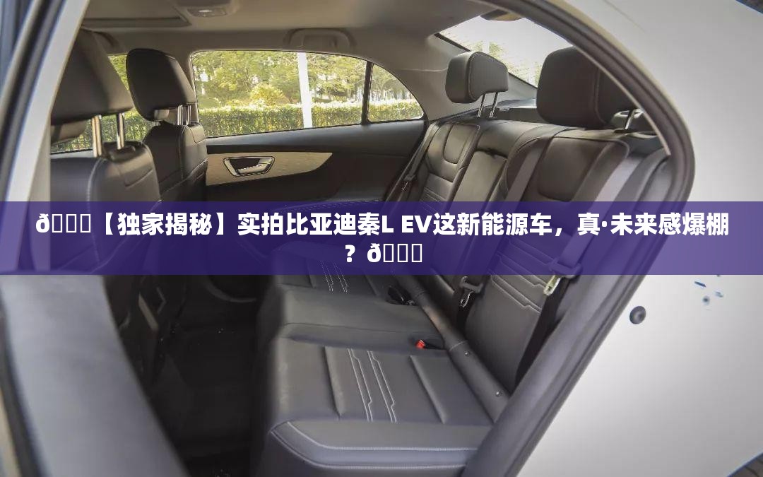 实拍比亚迪秦L EV